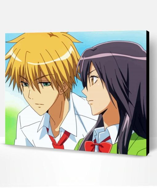 Usui Takumi And Misaki Ayuzawa Paint By Number