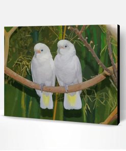 White Goffins Cockatoo Paint By Number