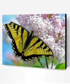 White Lantanas Flowers With Yellow Butterfly Paint By Number