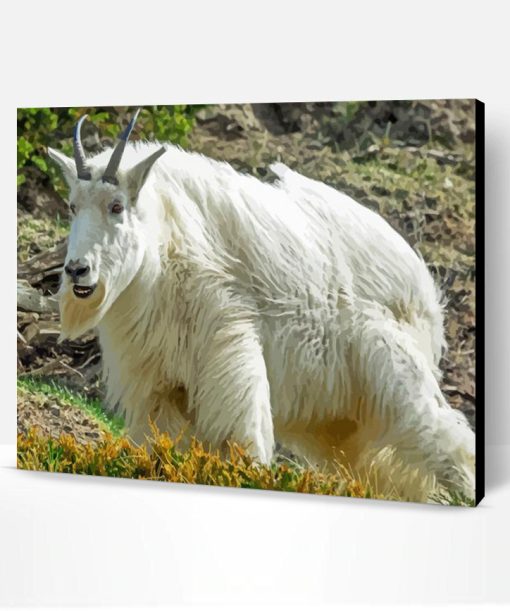 White Rocky Mountain Goat Paint By Number