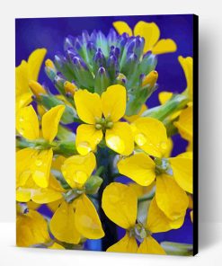 Yellow Wallflower With Water Drops Paint By Number