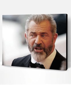 Actor Mel Gibson Paint By Number