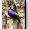 Aesthetic Purple Beetle Insect Paint By Number