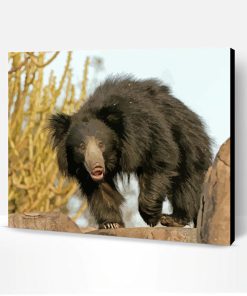 Aesthetic Sloth Bear Paint By Numbers