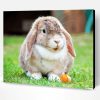 Aesthetic Mini Lop Rabbit Paint By Numbers