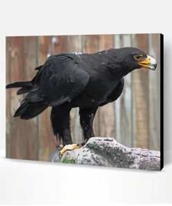 African Black Eagle Bird Paint By Number