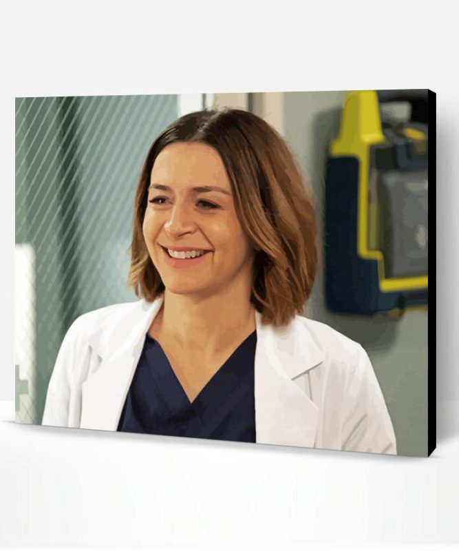 Amelia Shepherd Character Paint By Number