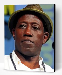 American Wesley Snipes Paint By Numbers