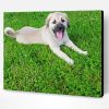 Anatolian Shepherd Puppy Paint By Number