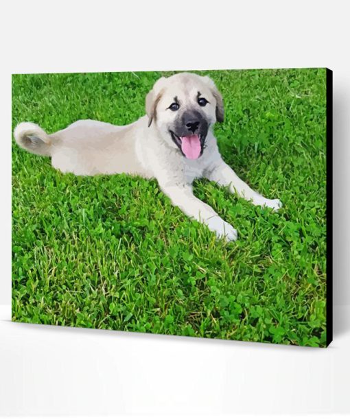 Anatolian Shepherd Puppy Paint By Number