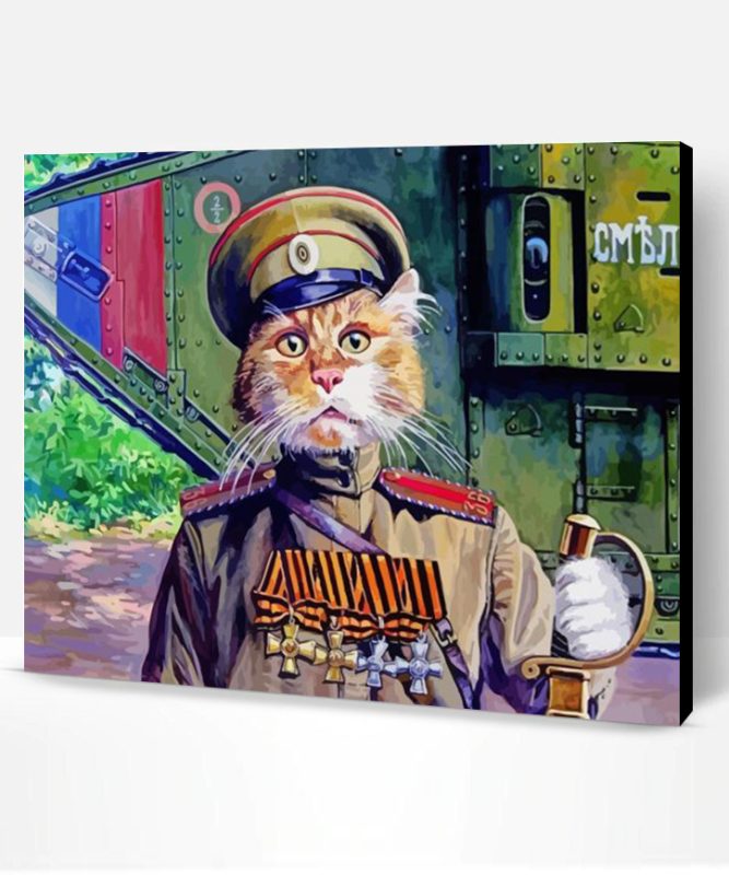 Army Cat Paint By Numbers