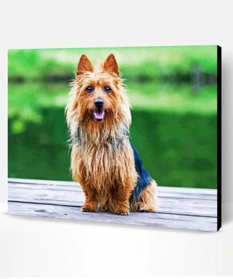 Australian Terrier Paint By Numbers