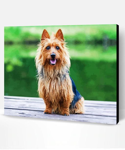 Australian Terrier Paint By Numbers