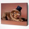 Baby Chocolate Lab Dog Paint By Number