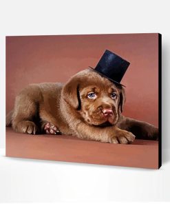 Baby Chocolate Lab Dog Paint By Number