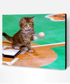 Baseball Cat Paint By Numbers