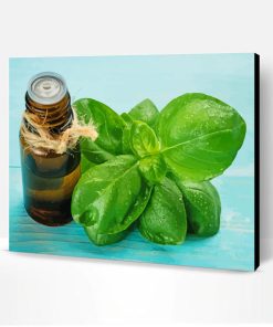 Basil Oil Paint By Number