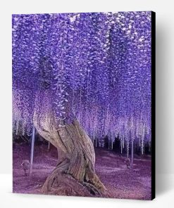 Beautiful French Wisteria Paint By Number
