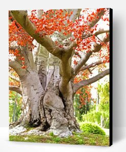 Beech Trees Paint By Number