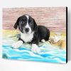 Black And Welsh Corgi Paint By Number