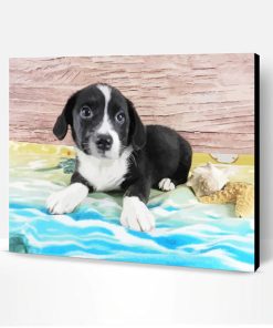 Black And Welsh Corgi Paint By Number