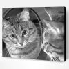 Black And White Mirror Cat Reflection Paint By Number