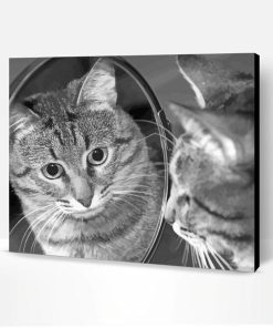 Black And White Mirror Cat Reflection Paint By Number