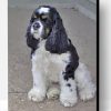 Black And White Cocker Spaniel Paint By Number