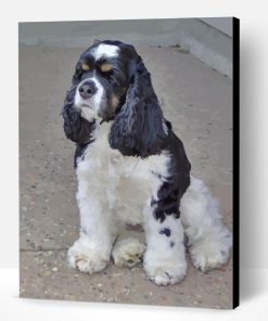 Black And White Cocker Spaniel Paint By Number