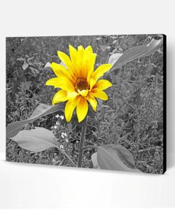 Black And White Yellow Flower Paint By Number
