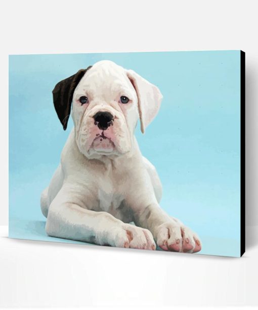 Black Eared White Boxer Puppy Paint By Numbers