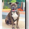 Brindle Pitbull Paint By Number