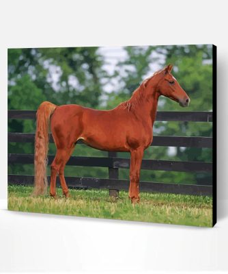 Brown Saddlebred Horse Paint By Number