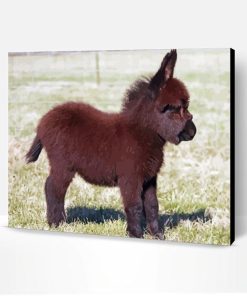 Brown Mini Donkey Paint By Numbers