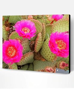 Cactus Plant With Pink Roses Paint By Number