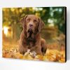 Chesapeake Bay Retriever Dog Paint By Number