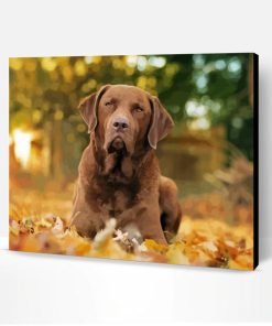 Chesapeake Bay Retriever Dog Paint By Number