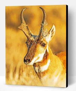 Close Up Pronghorn Paint By Numbers
