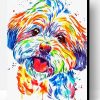 Colorful Shorkie Dog Art Paint By Numbers