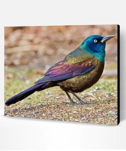 Common Grackle Bird Paint By Number