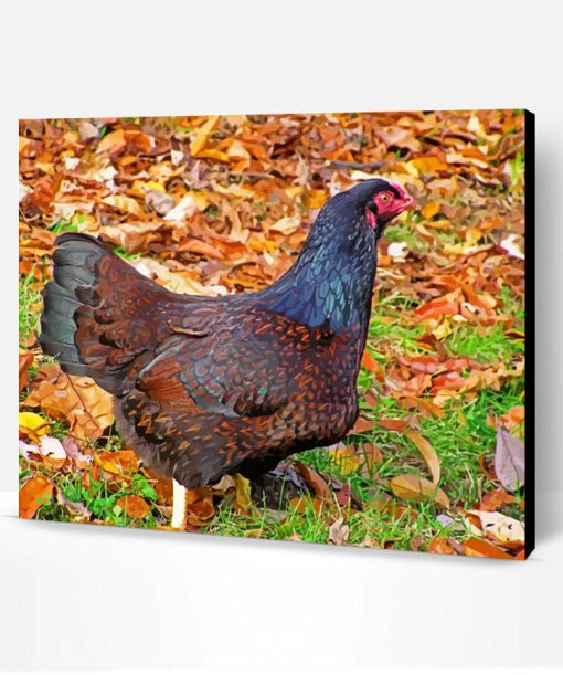 Cornish Chicken Bird Paint By Number