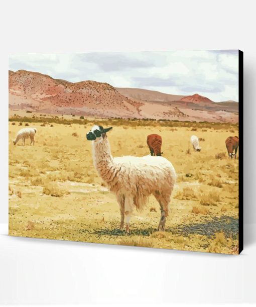 Desert Alpaca Paint By Number