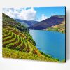 Douro Valley Paint By Number