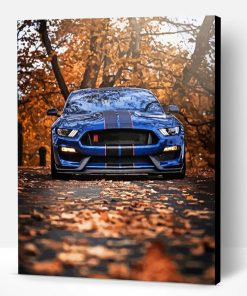 Ford Shelby GT350R Car Paint By Numbers