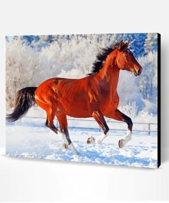 Galloping Horse In Snow Paint By Numbers