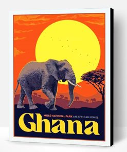 Ghana Mole National Park Poster Paint By Number