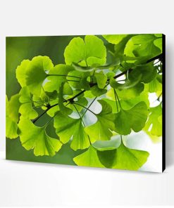 Ginkgo Green Leaves Paint By Numbers