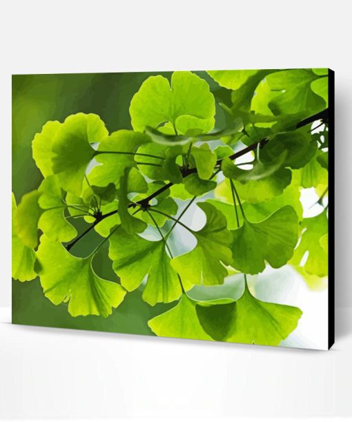 Ginkgo Green Leaves Paint By Numbers