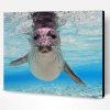 Hawaiian Monk Seal Paint By Number