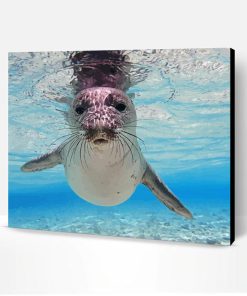 Hawaiian Monk Seal Paint By Number